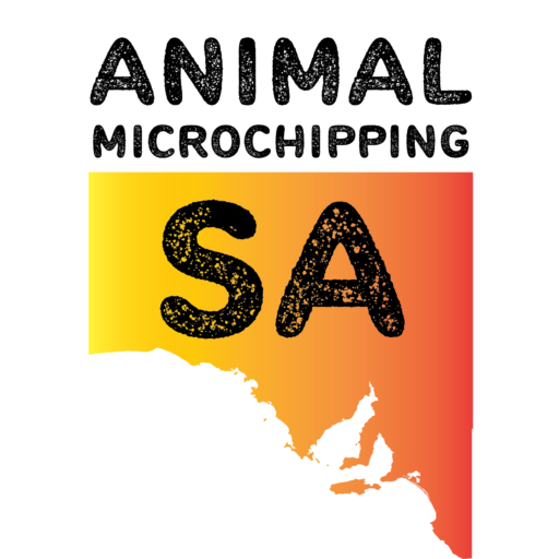 amsa logo
